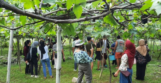 RAMAI SAAT LIBURAN : Pelancong di kebun anggur milik I Made Suwastika di Desa Bunutan, Kecamatan Abang ramai dikunjungi saat libur Galungan dan Kuningan. (foto: zulfika Rahman)