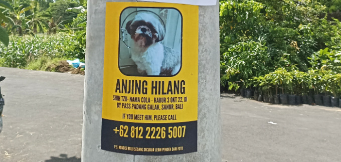 PASANG PENGUMUMAN :  Poster anjing hilang dipasang Bypas Ngurah Rai, Sanur. (foto: adrian suwanto/radarbali)