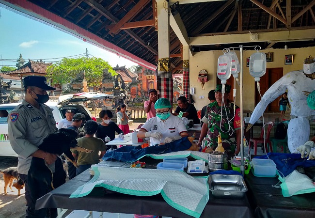 Petugas menyuntikan vaksin ke hewan peliharaan warga di Gianyar. (ist)