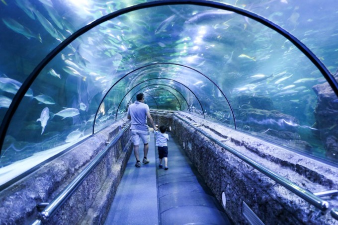 DESTINASI FAVORIT: Salah satu lokasi terindah dalam Jakarta Aquarium