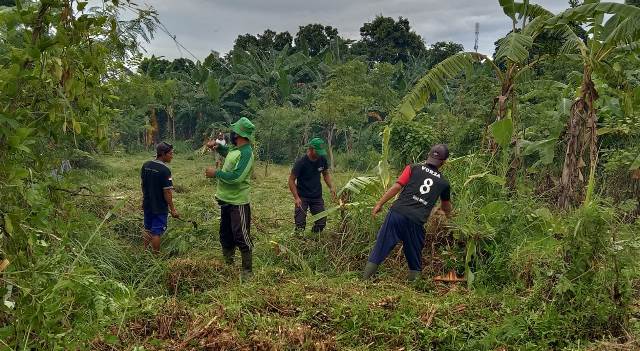 DIKEBUT : Lahan tidur seluas 1,9 hektare di Kelurahan Banyuasri, Buleleng , ini akan ditanami cabai. (foto: eka prasetya/radar bali)