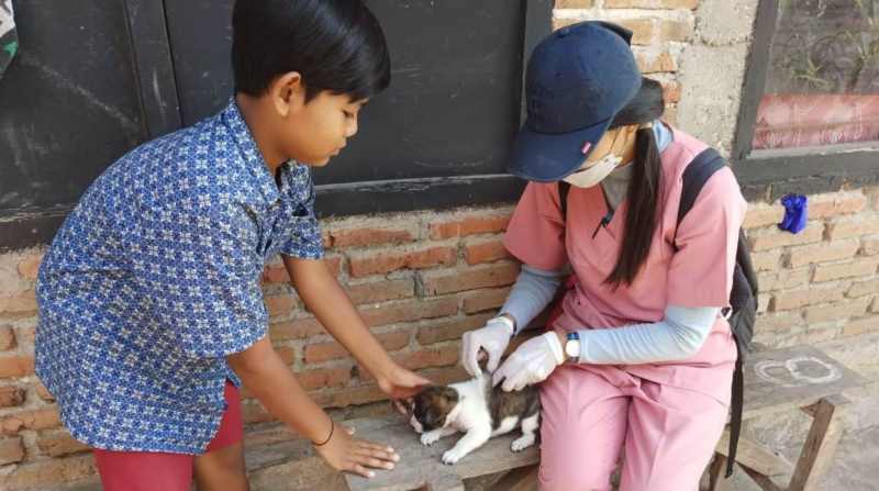 MASIH MENUNGGU KIRIMAN JATAH : Penyuntikan hewan piaraan di Desa Busungbiu, Buleleng untuk mencegah rabies beberapa waktu lalu. (foto: eka prasetya/radar bali)