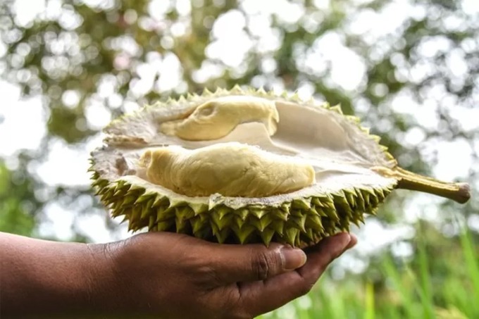 Foto:ilustrasi (jawapos/radarbanyuwangi)