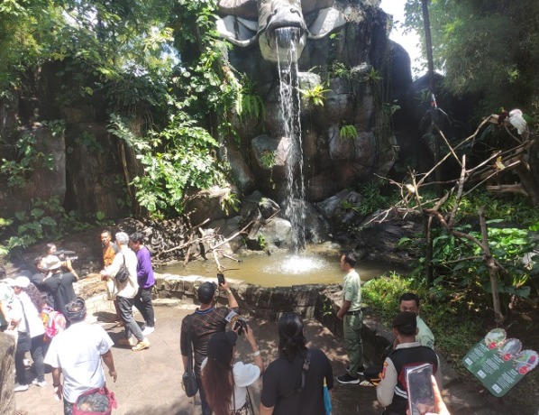 Pengunjung membludak di hari pertama dibukanya Rainfores Trail di Bali Safari Park. (Foto Marsell Pampur)