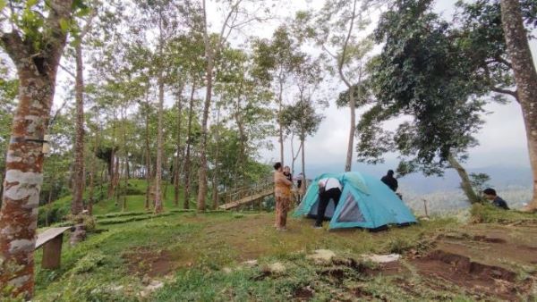INDAH: Lokasi wisata munduk ngandang dengan panoramanya yang indah melihat kota Singaraja dari ketinggian.