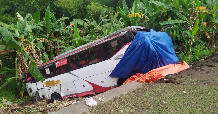 CELAKA: Bus yang terguling di jurang di Jalan Denpasar Gilimanuk  kilometer (KM) 114-115 Desa Melaya, Kecamatan Melaya, Jembrana, belum dievakuasi hingga Jumat siang (28/4/2023). FOTO: M.BASIR / RADAR BALI