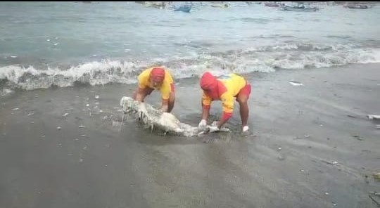 MENGEJUTKAN: Petugas balawista pantai Jerman sedang mengevakuasi tengkorak yang ditemukan secara utuh, Selasa pagi 11 April 2023.