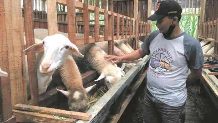 foto : ilustrasi (jawapos/radar semarang)