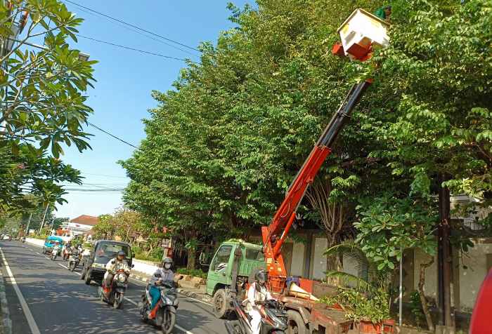 MUMPUNG PANAS : Perompesan di Jalan Kartini, Denpasar. (foto:Adrian suwanto/radar bali)