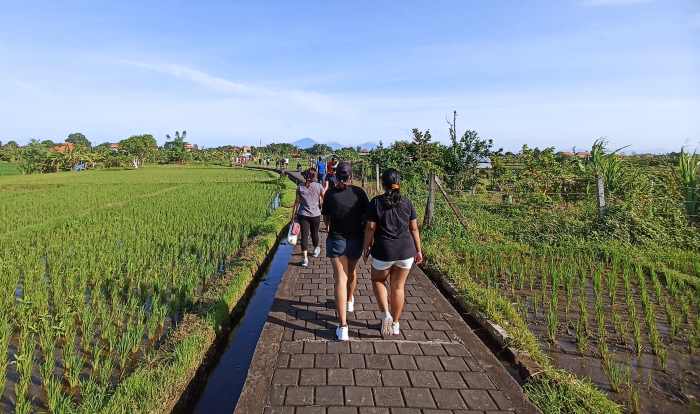 MURAH, MERIAH, MENYEHATKAN : Suasana di Subak Sembung, Peguyangan, Denpasar Utara, yang biasa dipakai berjalan santai dan jogging warga.Di sini juga ada petani yang berjualan sayuran dan buah segar.  (FOTO: ADRIAN SUWANTO/RADAR BALI)