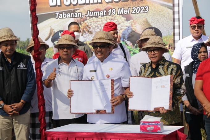 NOTA KESEPAHAMAN: Bupati Tabanan I Komang Gede Sanjaya (kiri) dan Wali Kota Malang Sutiaji usai teken MoU dan tanam kedelai di Subak Gubug I Desa Gubug, Tabanan, Jumat (19/5/2023). 