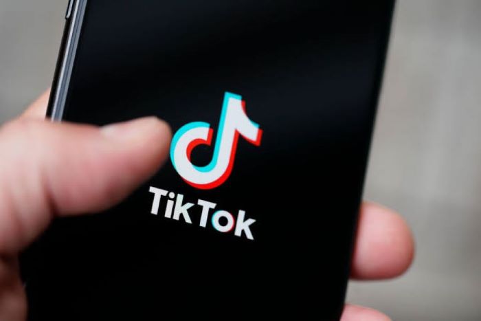 Ilustrasi cara download video TikTok tanpa watermark di handphone.