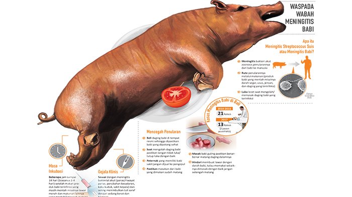 WASPADA: Delapan warga terinfeksi Meningitis Streptococcus Suis (MSS).