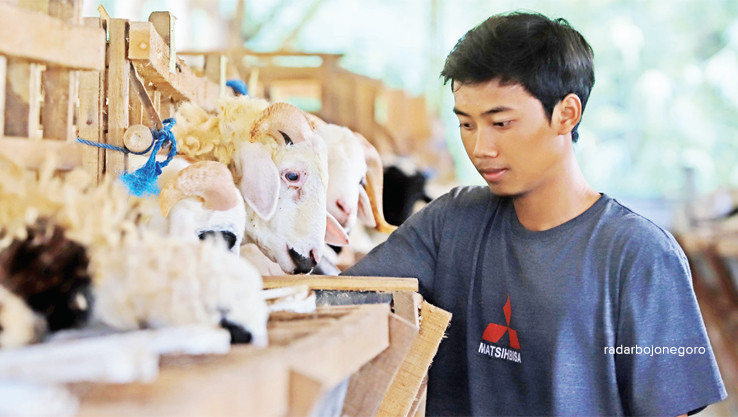 BETERNAK MODERN: M. Rijal akrab dengan kambing di kandang peternakan Desa Simbatan, Kecamatan Kanor. Anak muda gawangi peternakan milenial tanpa harus belepotan mencari rumput. (M. NURCHOLIS/RDR.BJN)