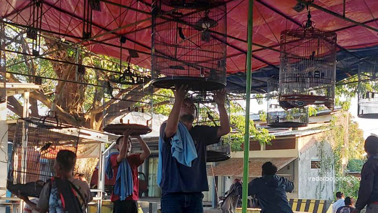 HOBI: Para kicau mania menurunkan burung dalam sangkar dari gantangan di Taman Tuk Buntung, Kecamatan Cepu. (LUKMAN HAKIM/RDR.BLORA)