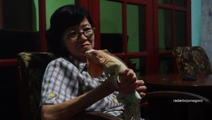 AKRAB: Salah satu iguana tampak manja. DI Bojonegoro semakin banyak pehobi iguana. (YUAN EDO/RDR.BJN)
