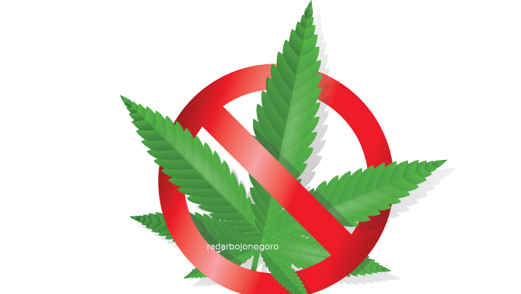 ILustrasi Ganja (Istimewa FOR RDR.BJN)