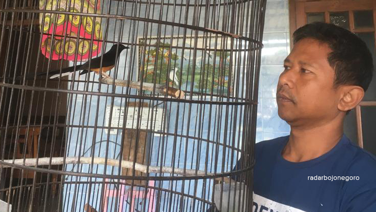 MANDI DULU: Arif sedang memandikan salah satu burungnya di dalam sangkar, mandi dan makan teratur menjadi tuntutan agar hewan peliharaanya tetap prima. (DEWI SAFITRI/RDR.BJN)