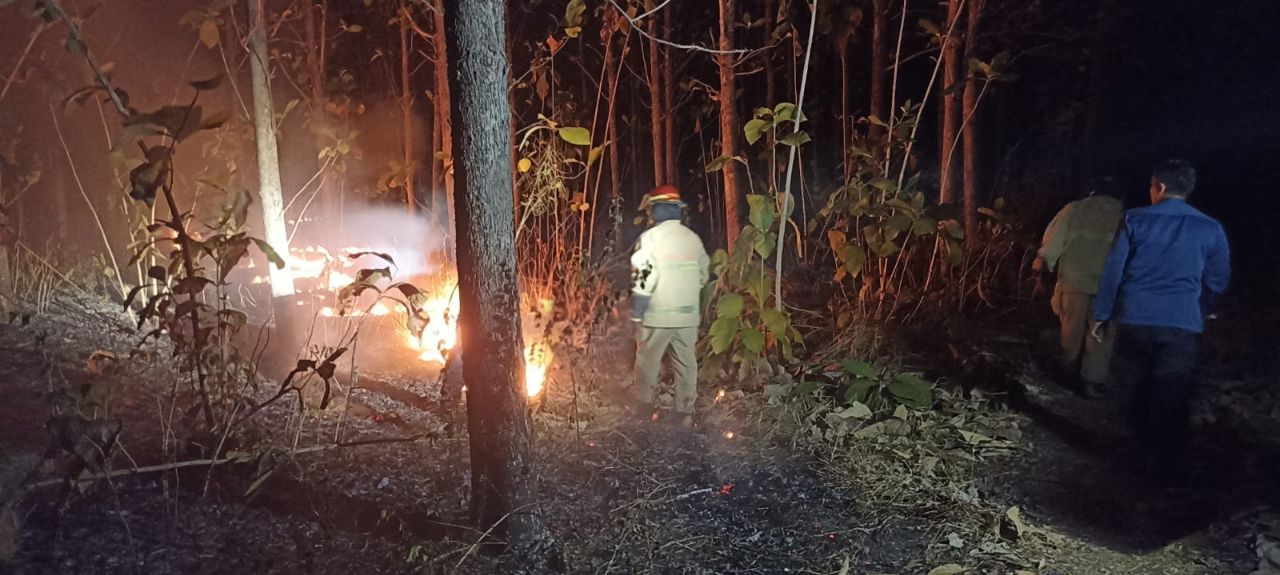KARHUTLA: Kebakaran hutan di kawaaan Khayangan Api terjadi pada Selasa (21/8). (IST/RDR.BJN)