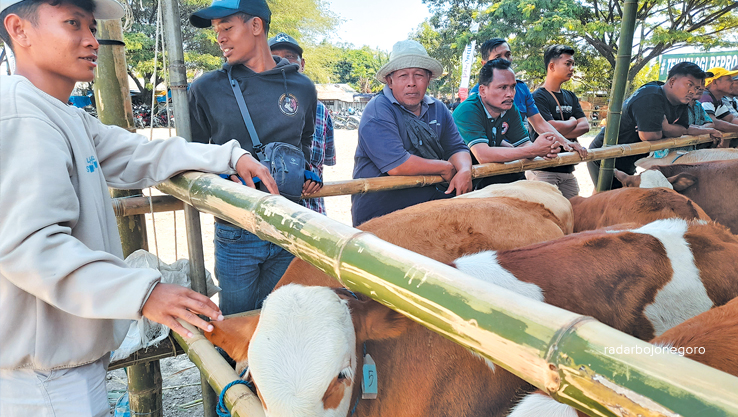 TERNAK: Para peternak ikuti Pameran Ternak di Desa Jono, Kecamatan Temayang pada Senin lalu (28/8). (Dewi Safitri/RDR.Bjn)