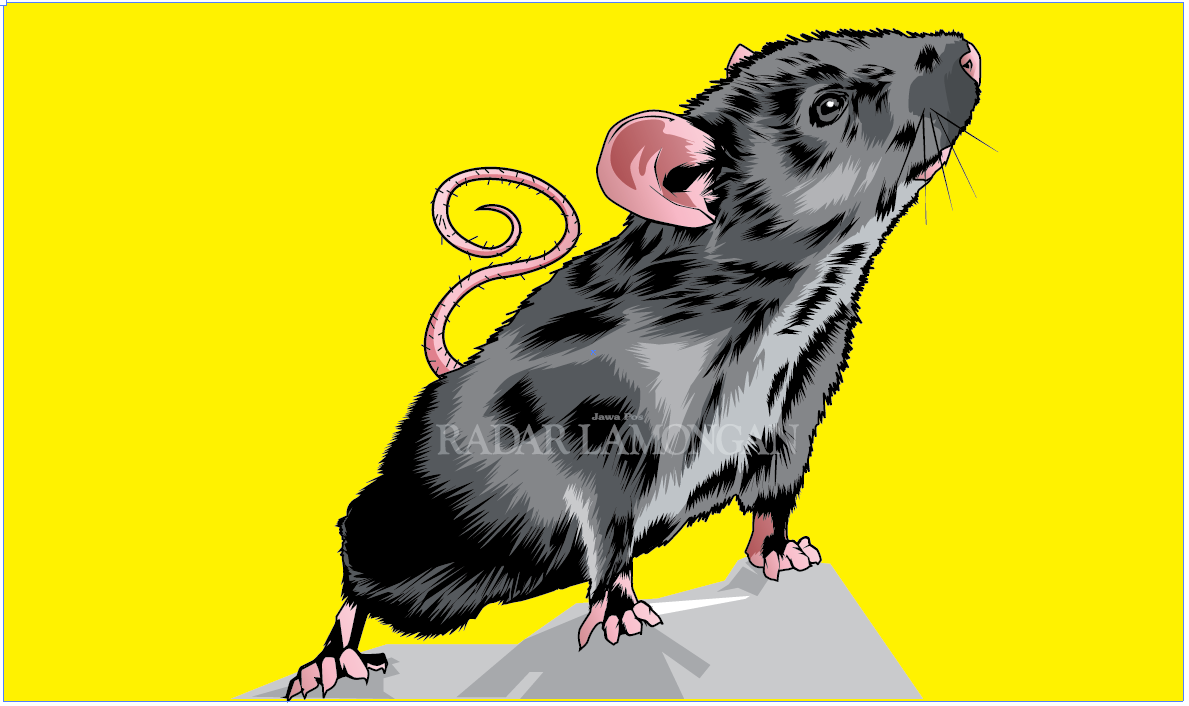 Ilustrasi Hama Tikus (Ainur Ochiem/R.Bjn)