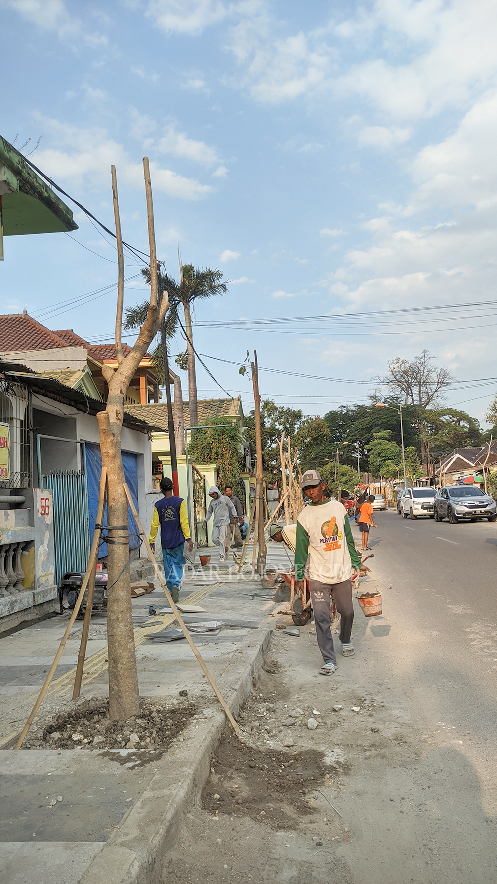 TANAM POHON: Meskipun masih musim kemarau, tetap dilakukan penananaman pohon di trotoar. (WAHYU DHANI ALFIANSYAH/RDR.BJN)
