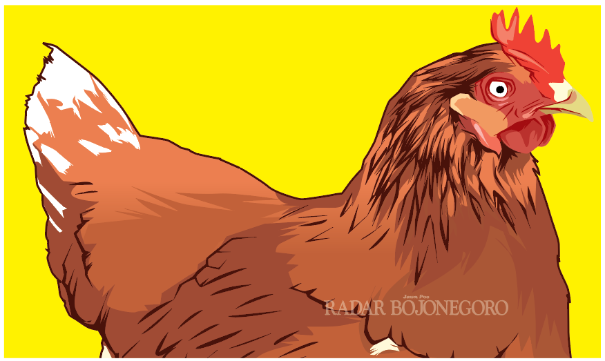 Iluastrasi Ayam Kelimpungan (Ainur Ochiem/R.Bjn)