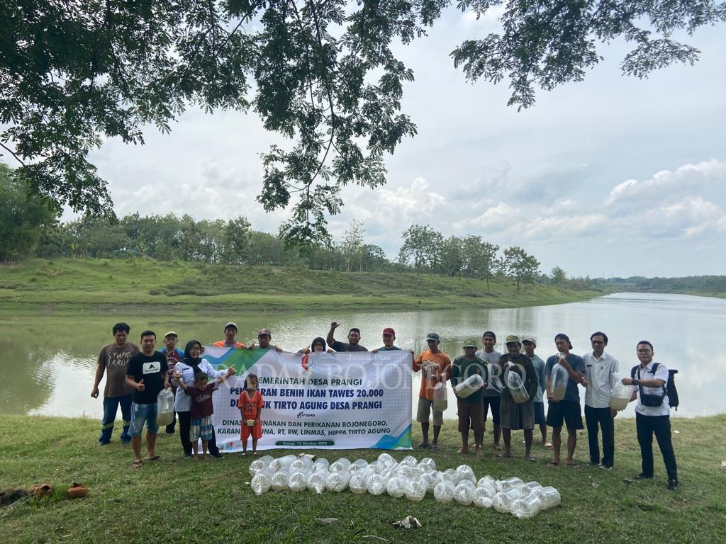 BENIH IKAN: Pemkab Bojonegoro telah menebar 620.500 benih ikan tersebar di 23 kecamatan.  Salah satunya di embung Desa Prangi, Kecamatan Padangan. (IRVAN RAMADAN/RDR.BJN)