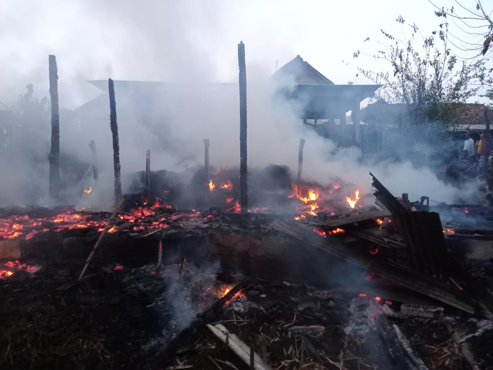 LUDES: Kandang di Desa Barurejo, Kecamatan Sambeng membuat dua sapi hangus terbakar, serta satu sapi mengalami luka bakar bisa diselamatkan (IST./RDR.LMG )