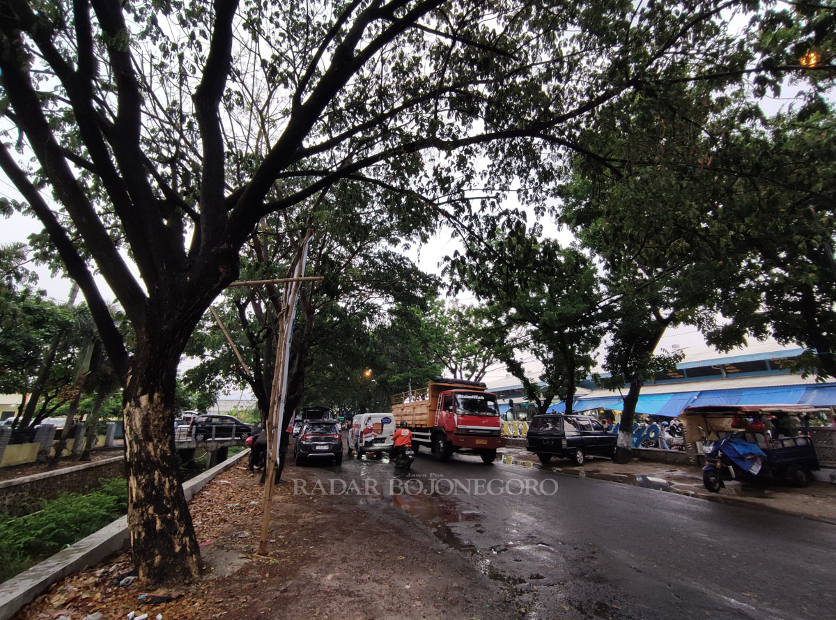 DIRAMPINGKAN: Pohon di pinggir jalan raya yang rimbun bakal dirapikan agar tidak membahayakan pengguna jalan bila tumbang akibat angin kencang.  (ANJAR DWI PRADIPTA/RDR.LMG )