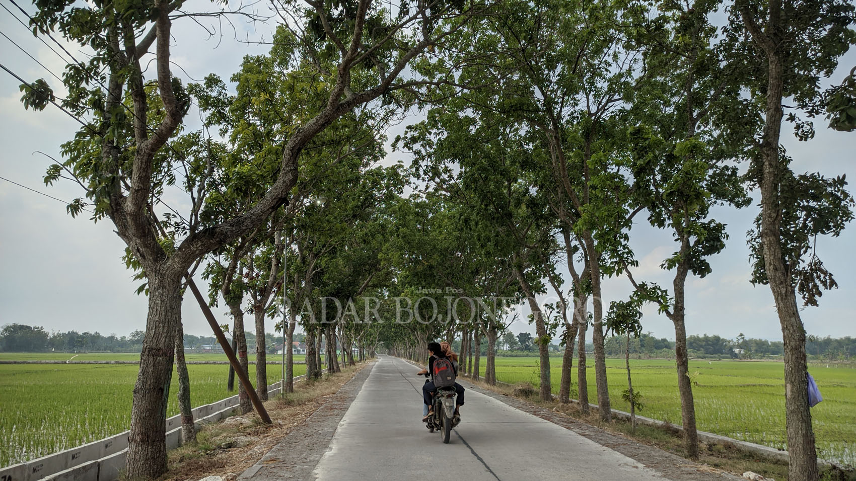 MULUS: Jalan poros desa di Desa Ngringinrejo, Kecamatan Kalitidu, telah tertutup cor beton. Hal itu mempermudah akses warga hingga pariwisata. (WAHYU DHANI A,/RDR.BJN)