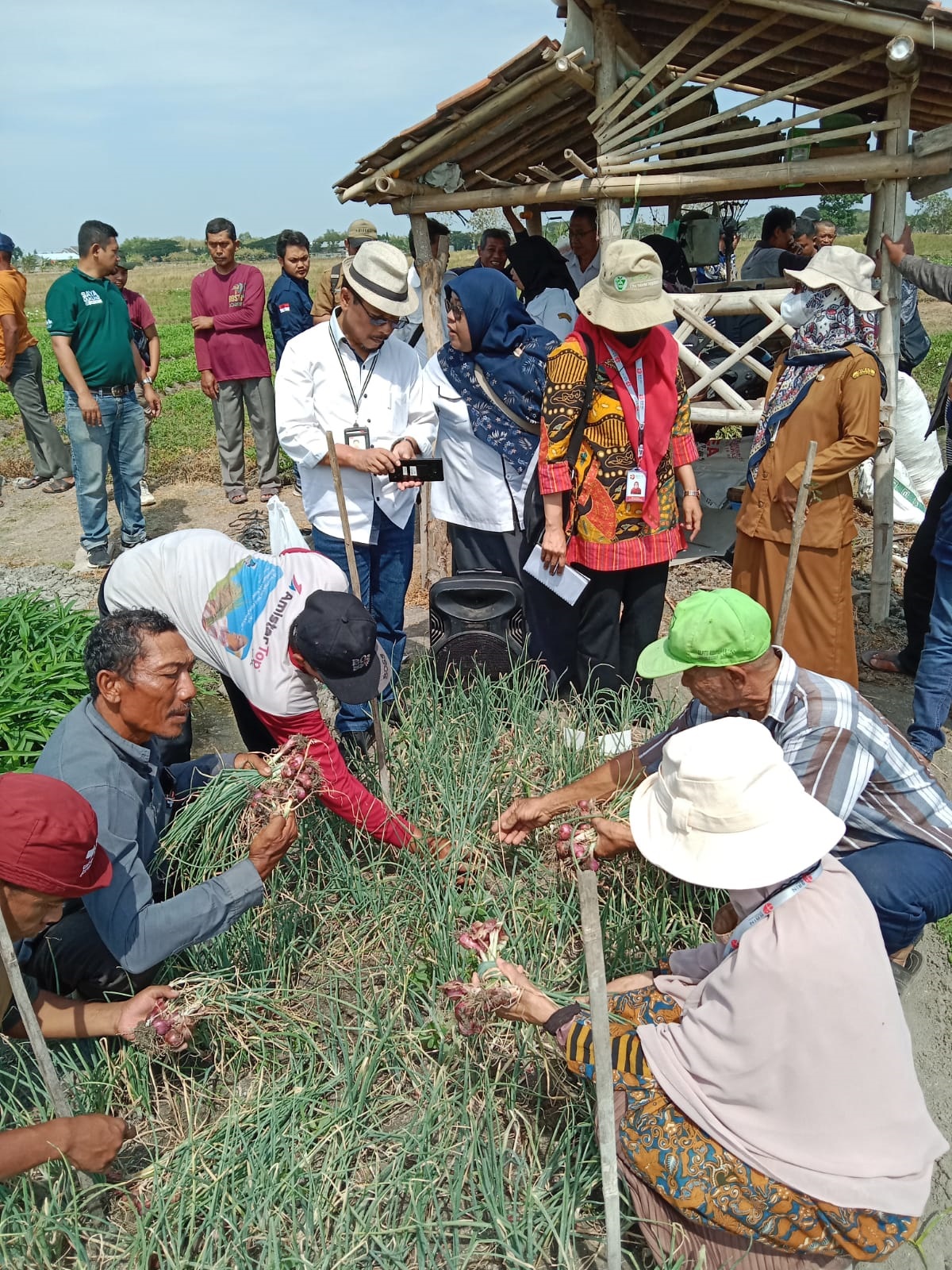 INOVASI: Salah satu kegiatan Field Day  (temu lapang) di Desa Semenpinggir, Kecamatan Kapas. Menjadi kolaborasi antara petani, peneliti, dinas terkait.