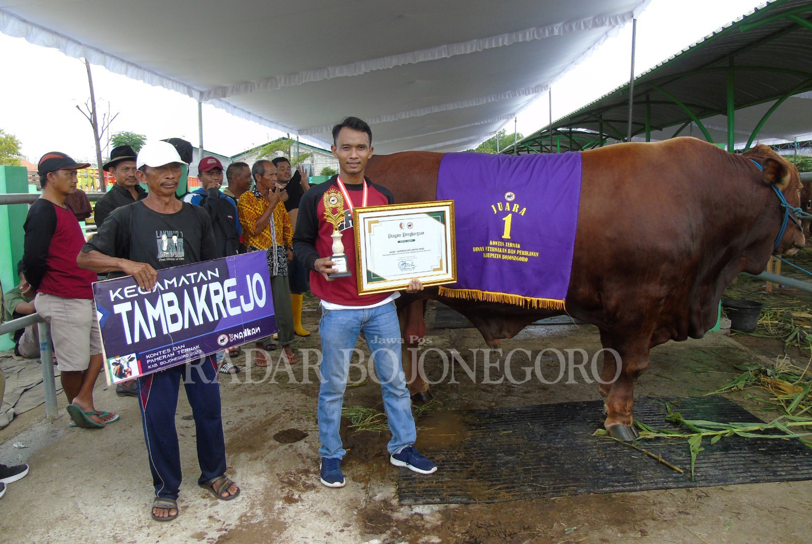 JUMBO: Rudik Krisdianto (pegang piala) meraih penghargaan setelah sapinya dinobatkan sebagai juara kontes sapi kategori jantan cross. (YUAN EDO/RDR.BJN)