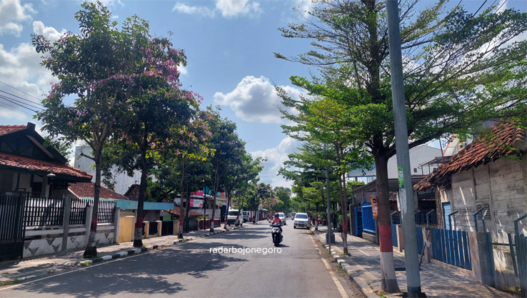 LINGKUNGAN: Kondisi jalanan perkotaan Blora tampak asri dengan pepohonan yang berjajar dan bunga tabebuya yang sedang mekar. (LUKMAN HAKIM/RADAR BLORA)