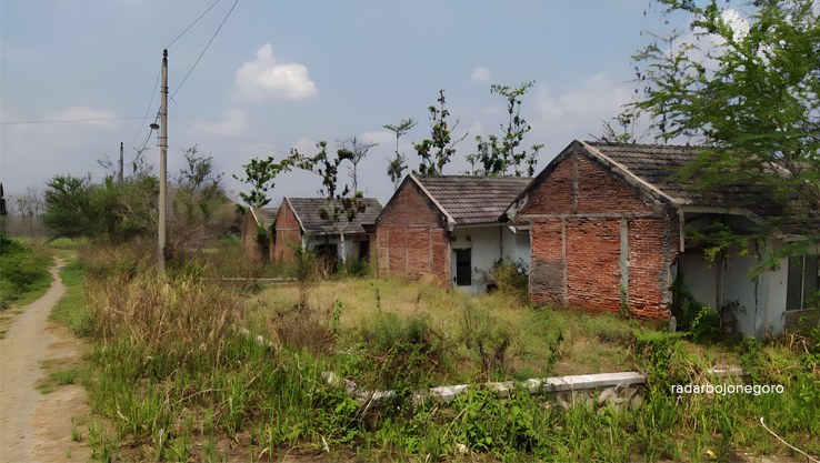HOROR: Sekitar 20 unit rumah di perumahan turut Desa Sendangmulyo, Kecamatan Ngawen mangkrak bertahun-tahun. Kondisi kumuh dan tampak horor. Bangunan penuh rumput liar. (RAHUL OSCARRA DUTA/RADAR BLORA
