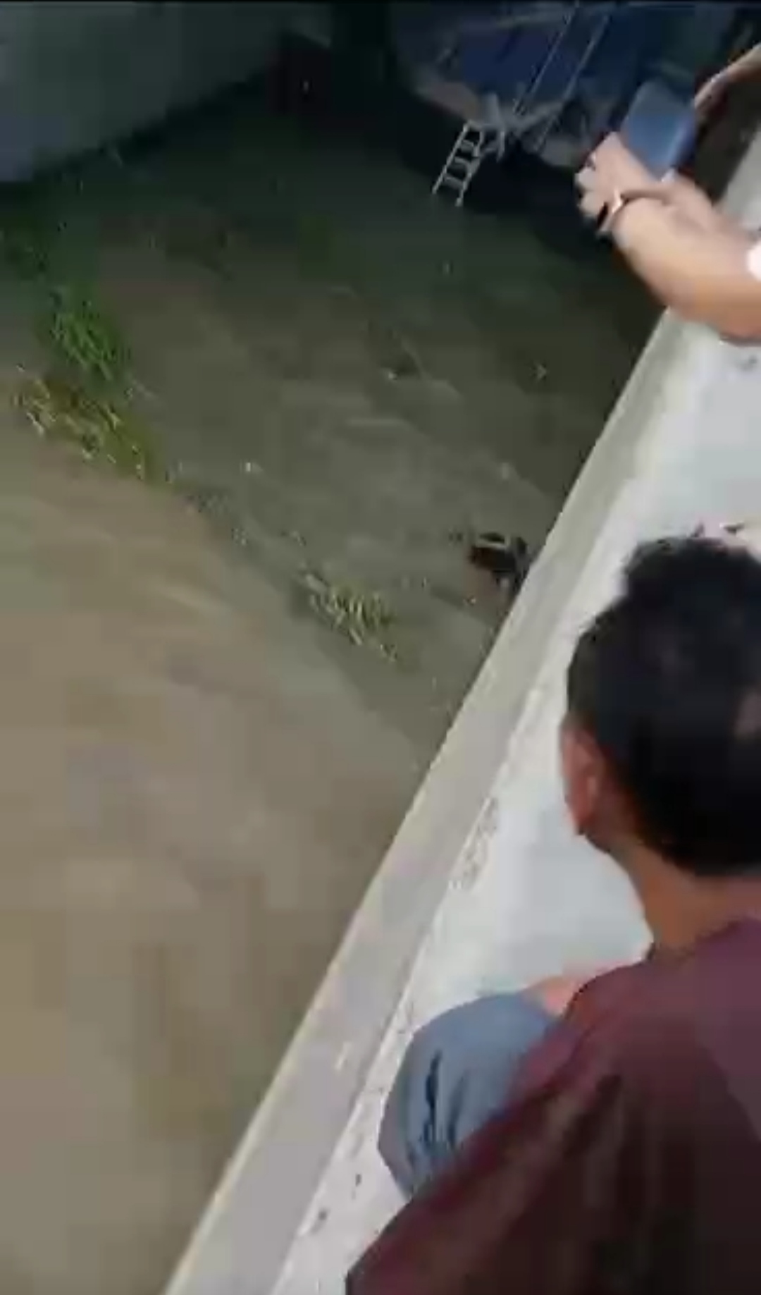 Capture video amatir. (IST/RDR.BJN)