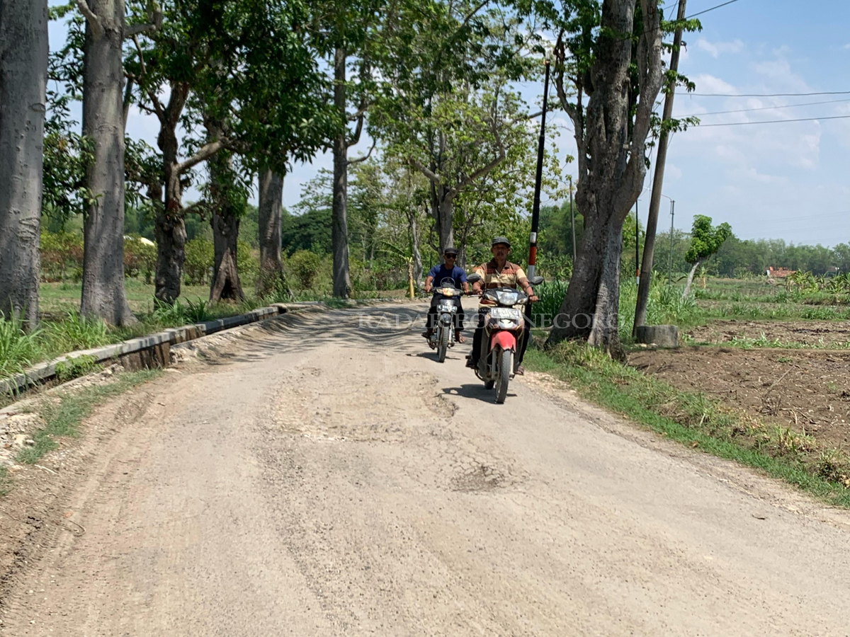 PRIHATIN: Kondisi ruas jalan di Desa Jepangrejo, Kecamatan Blora yang mana merupakan kawasan perkotaan masih memperihatikan. Komisi D Blora dorong ada pemerataan pembangunan jalan.