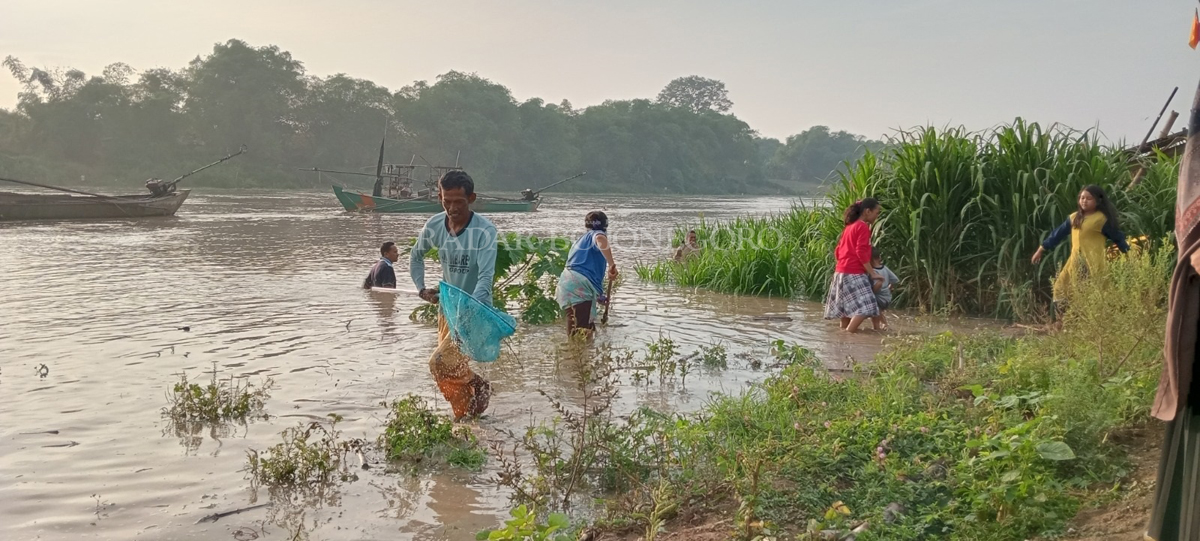 PLADU: Warga Dusun Songapan, Desa Kalirejo, Kecamatan Bojonegoro Kota menangkap ikan di Bengawan Solo kemarin (3/1). Pladu atau ikan mabok itu terjadi setiap tahun, tepatnya pada pergantian musim.