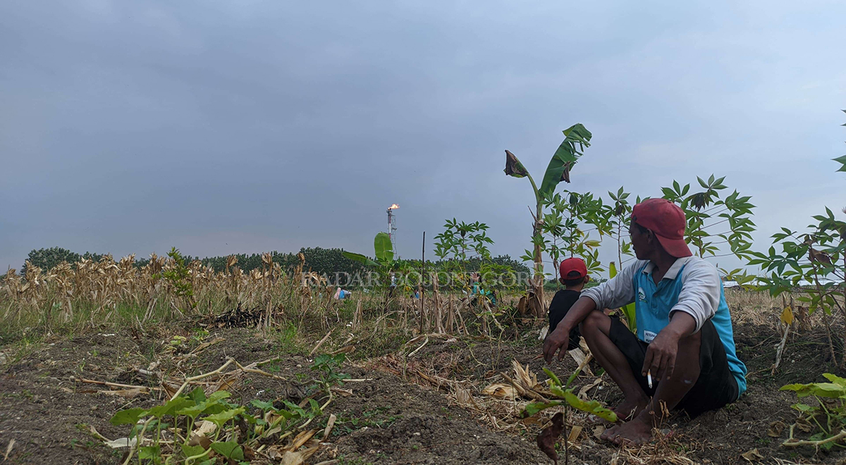 FLARE PEPC: Petani berada di sekitar lapangan JTB yang dikelola PEPC. Kobaran flare mendadak membesar, sempat mengagetkan warga sekitar.  (WAHYU DHANI ALFIANSYAH/RADAR BOJONEGORO)