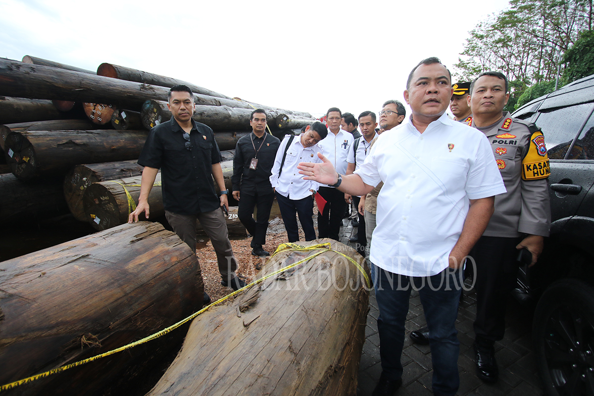 TERKUAK: Tim Direktorat Dittipidter Bareskrim Mabes Polri menyita 335 batang kayu ilegal yang sudah terlanjut dikirim ke PT. KWI di Kecamatan Pucuk. (ANJAR DWI PRADIPTA/RDR.LMG)