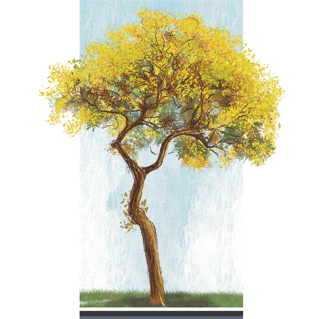 Ilustrasi (AINUR  OCHIEM/RADARBOJONEGORO)