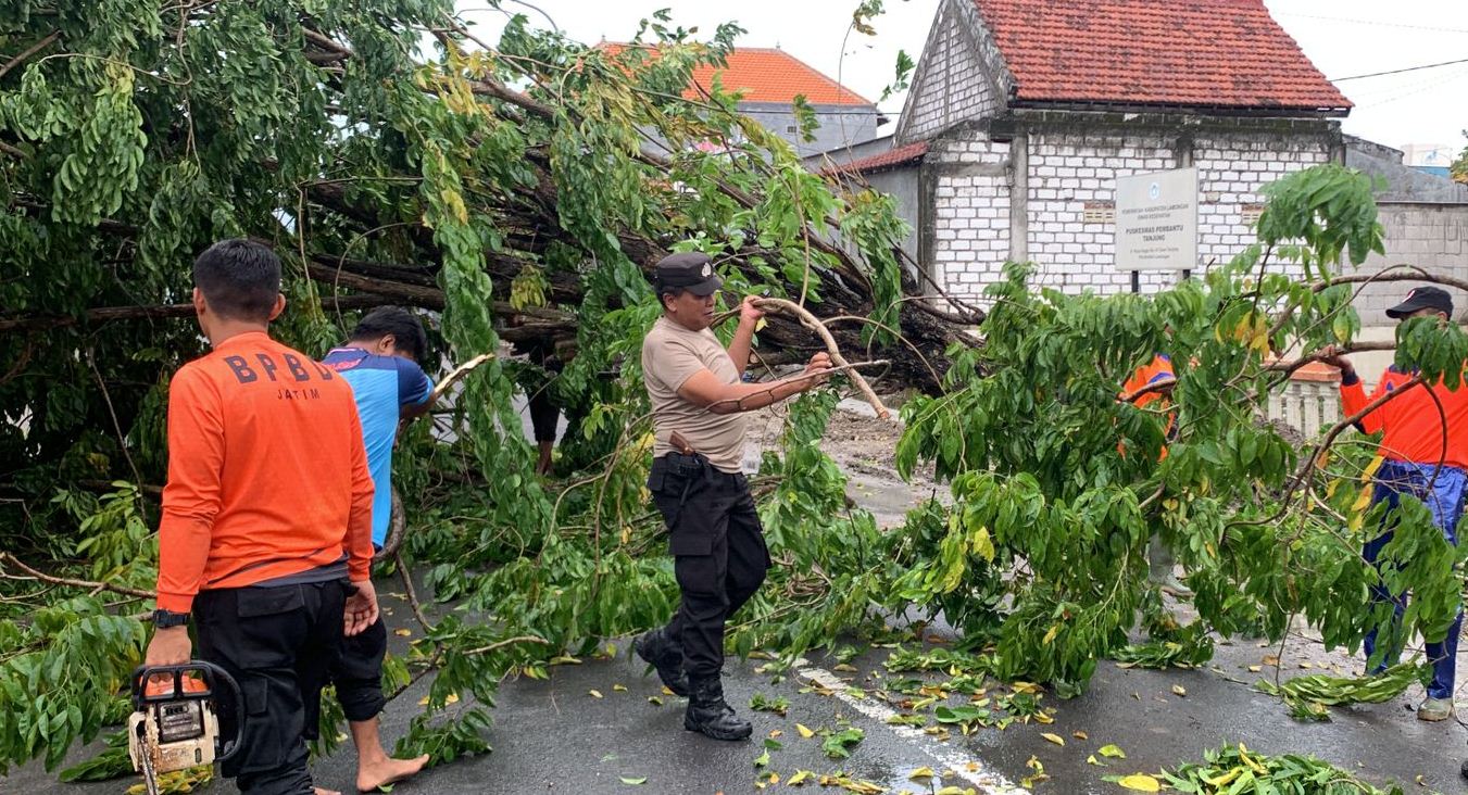 TUTUPI JALAN: Petugas yang menebangi dahan pohon yang roboh di jalan raya Lamongan &ndash; Sugio. (IST/RDR.LMG)