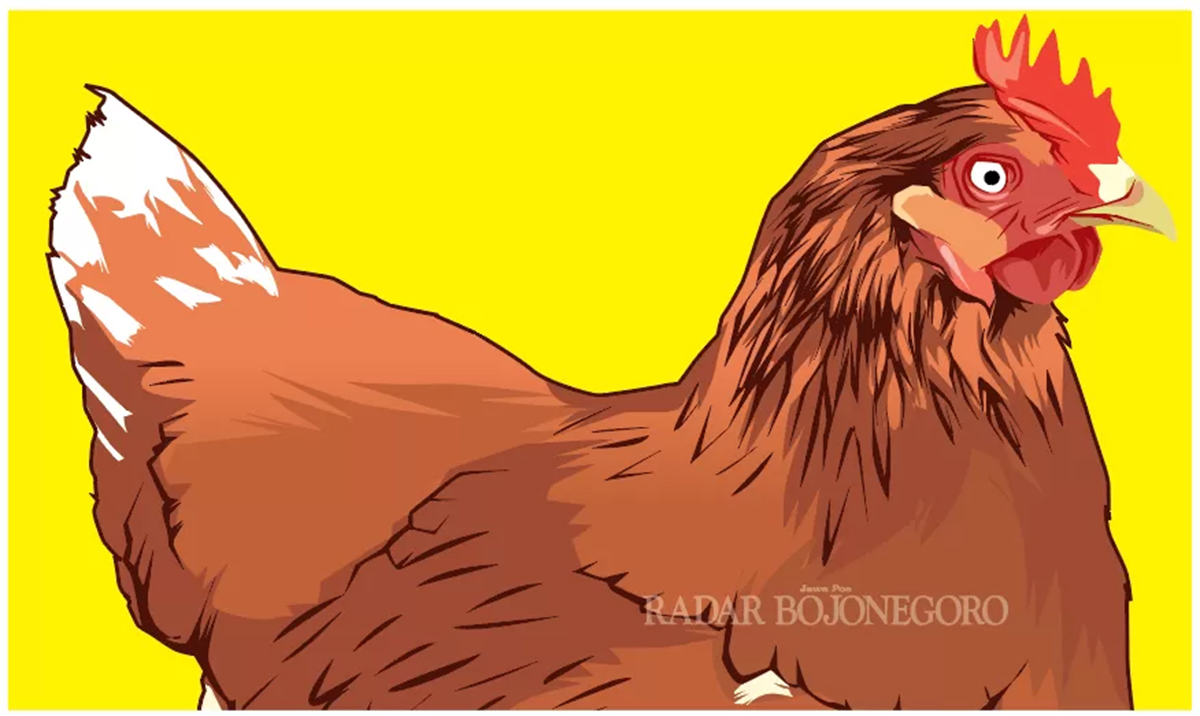 Ilustrasi ayam (AINUR OCHIEM/RADAR BOJONEGORO)