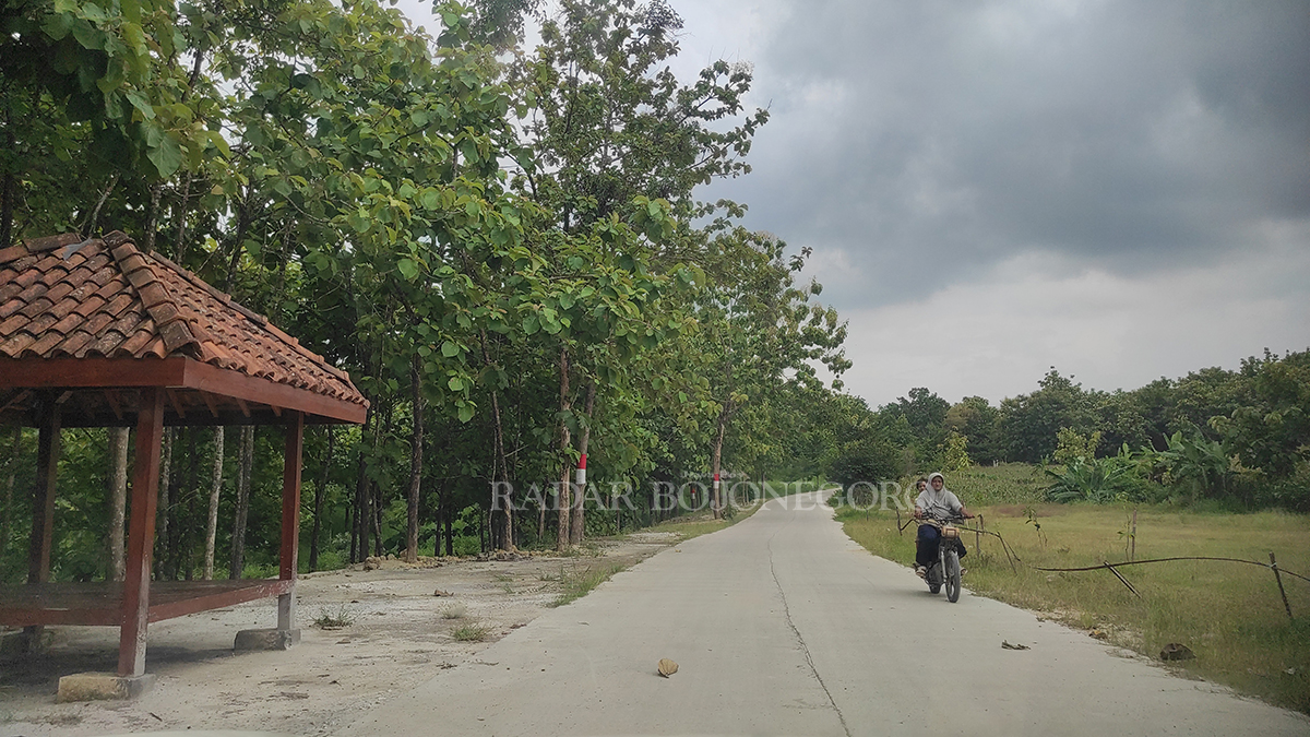 MULUS: Jalan di Kecamatan Margomulyo sudah mulus. Mengoneksikan budaya anatardaerah. (WAHYU DHANI ALFIANSYAH/RADAR BOJONEGORO)