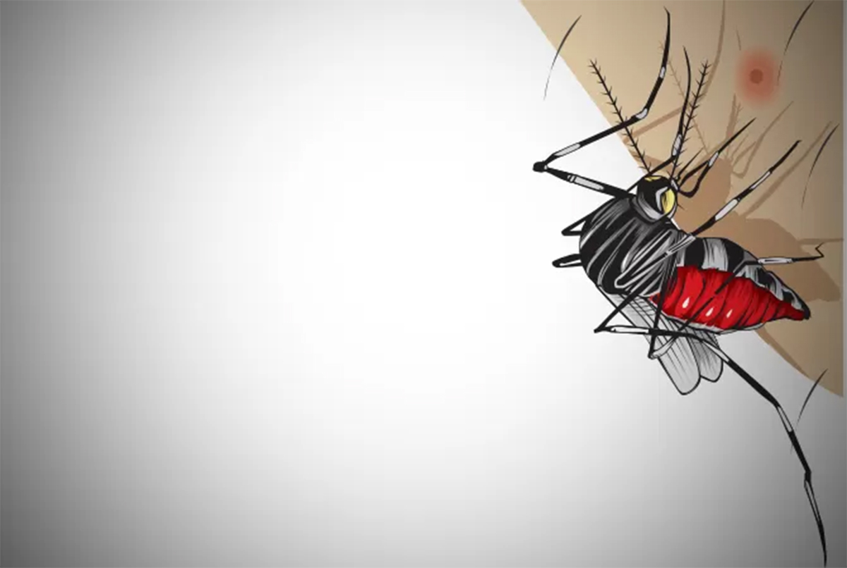 Ilustrasi DBD  (AINUR OCHIEM/RADAR BOJONEGORO)