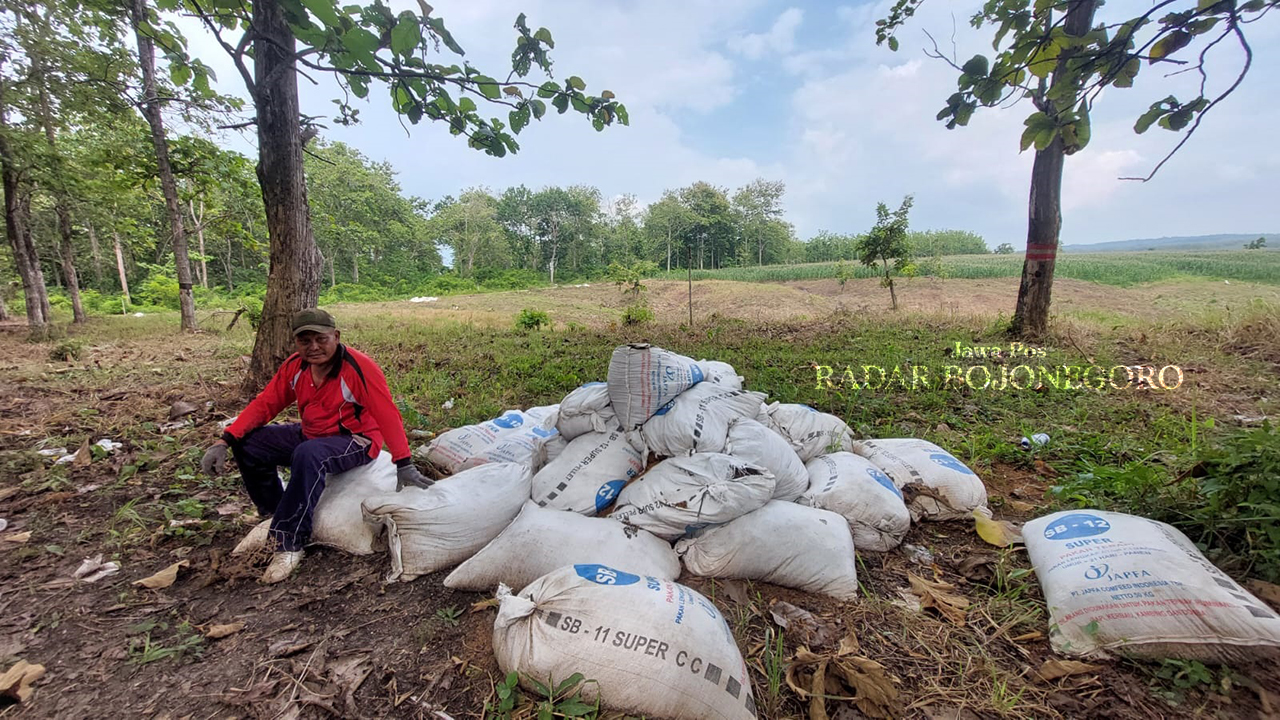 BERSIHKAN LADANG: Yoto usai membersihkan rerumputan di ladang jagungnya yang berada di kawasan Hutan Cabak turut Kecamatan Jiken. (LUKMAN HAKIM/RADAR BLORA)