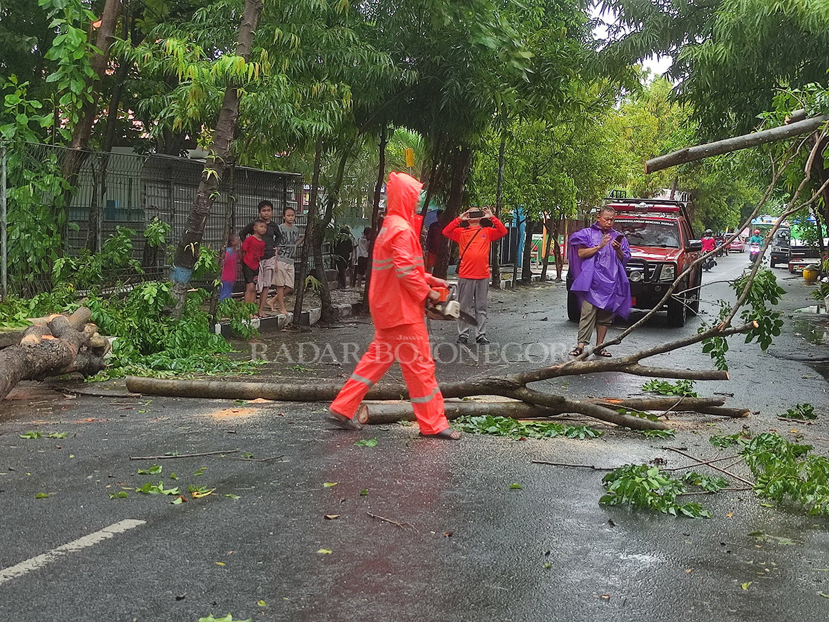 GANGGU LALIN: Petugas mengevakuasi pohon tumbang akibat hujan deras dan angin kencang di Jalan KH. Ahmad Dahlan Lamongan.  (ANJAR DWI PRADIPTA/RDR.LMG)