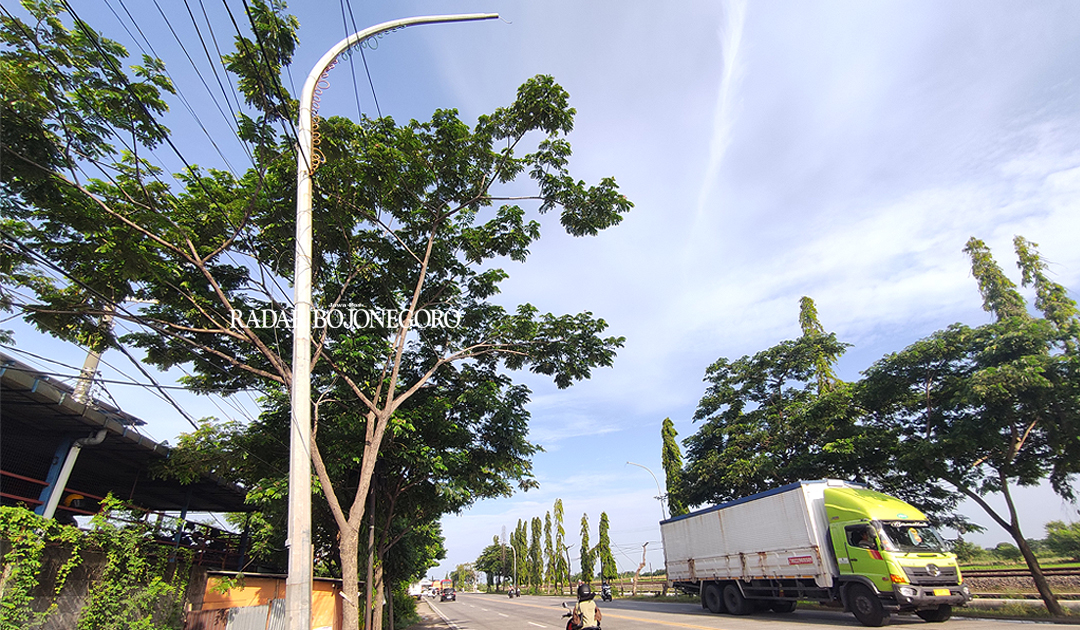 JANJIKAN SEGERA LEBIH TERANG: Tiang PJU di pinggir jalan nasional. Sejumlah PJU jalan tersebut saat ini masih dikeluhkan karena padam.