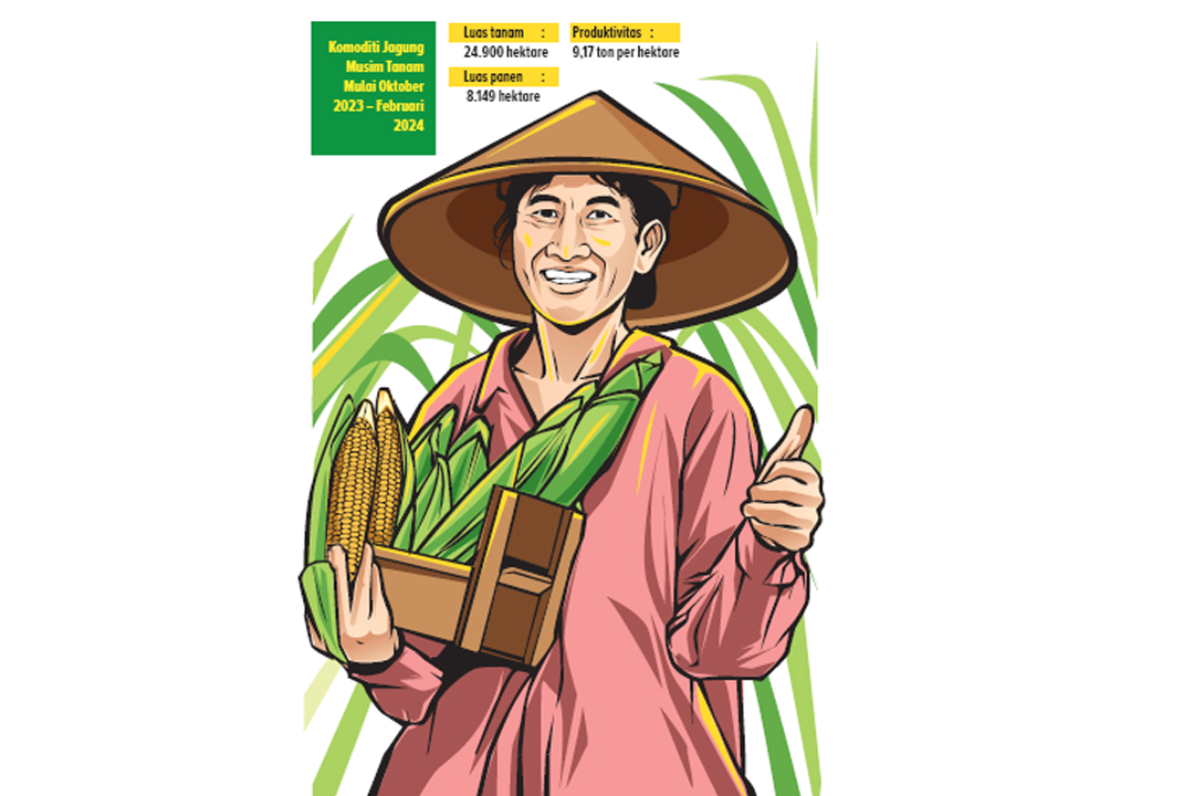 Komoditi Jagung Musim Tanam Mulai Oktober 2023 &ndash; Februari 2024