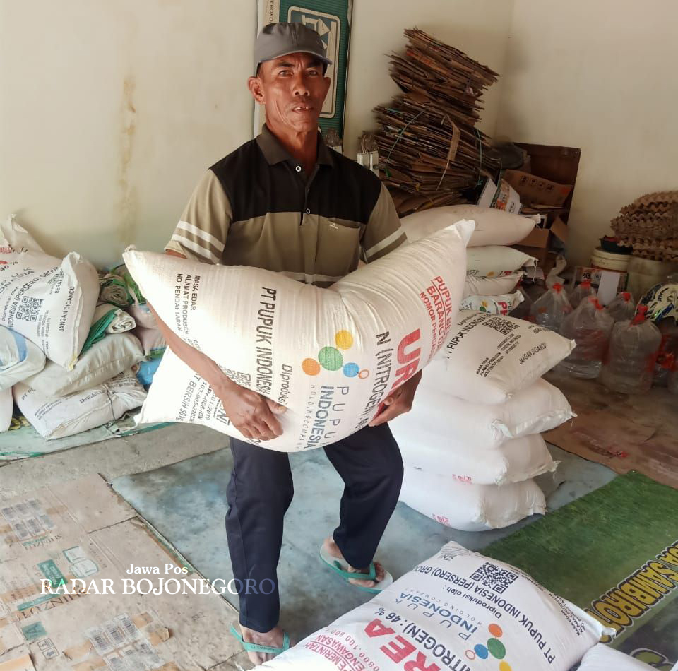 PUPUK: Petani sedang mengangkat pupuk untuk ditabur di sawahnya.  (YANA DWI KURNIYA WATI/RADAR BOJONEGORO)
